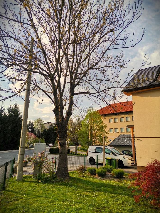 Apartma Vila Tara Prebold Экстерьер фото